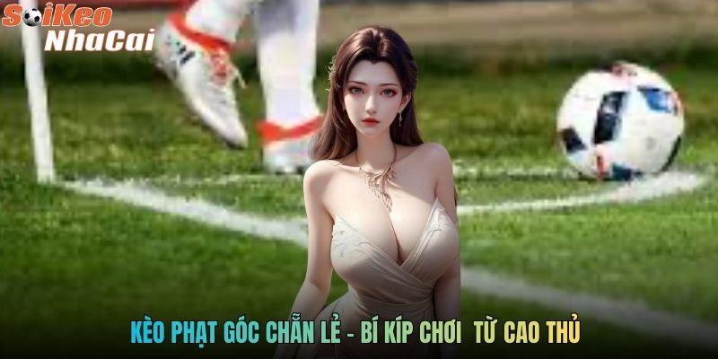 Kèo phạt góc chẵn lẻ - Bí kíp chơi  từ cao thủ 