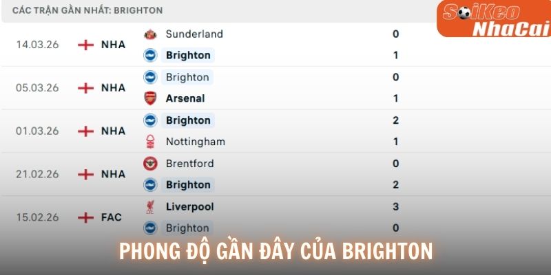 Phong độ Brighton