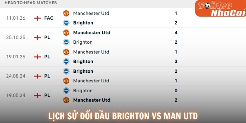 Lịch sử đối đầu Brighton vs Manchester United
