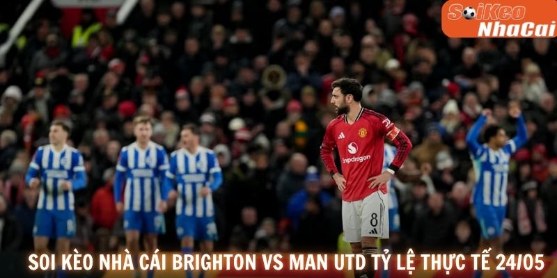 Soi kèo nhà cái Brighton vs Manchester United tỷ lệ thực tế 24/05