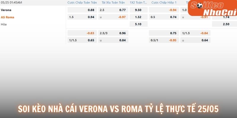 Soi kèo nhà cái Verona vs AS Roma tỷ lệ thực tế