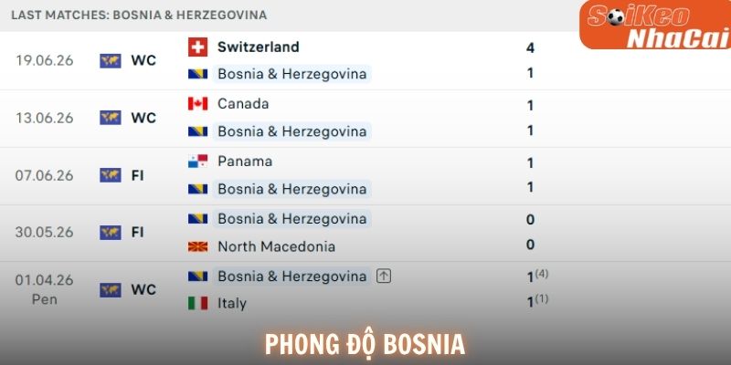 Phong độ Bosnia