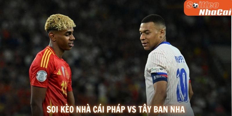 Pháp được đánh giá nhỉnh hơn đôi chút trong cuộc đua giành vé vào chung kết